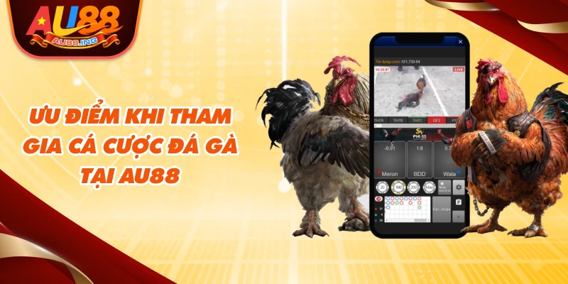 Ưu điểm khi tham gia cá cược đá gà tại AU88